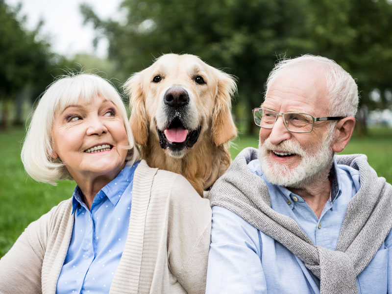 Over 65 husband and wife with their golden retriever.